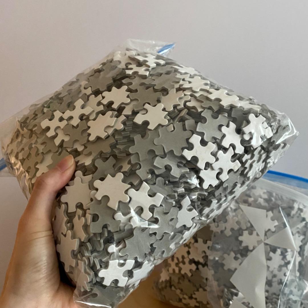 未使用品】5005P ホワイト ジグソーパズル 特注品 アート 美術 白地図