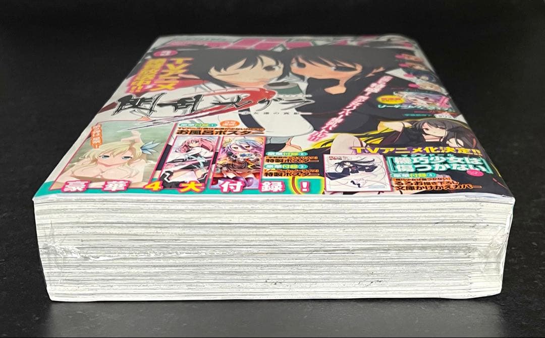 ○コミックアライブ 2013年 3月号 ○新連載 ノーゲーム・ノーライフ 榎