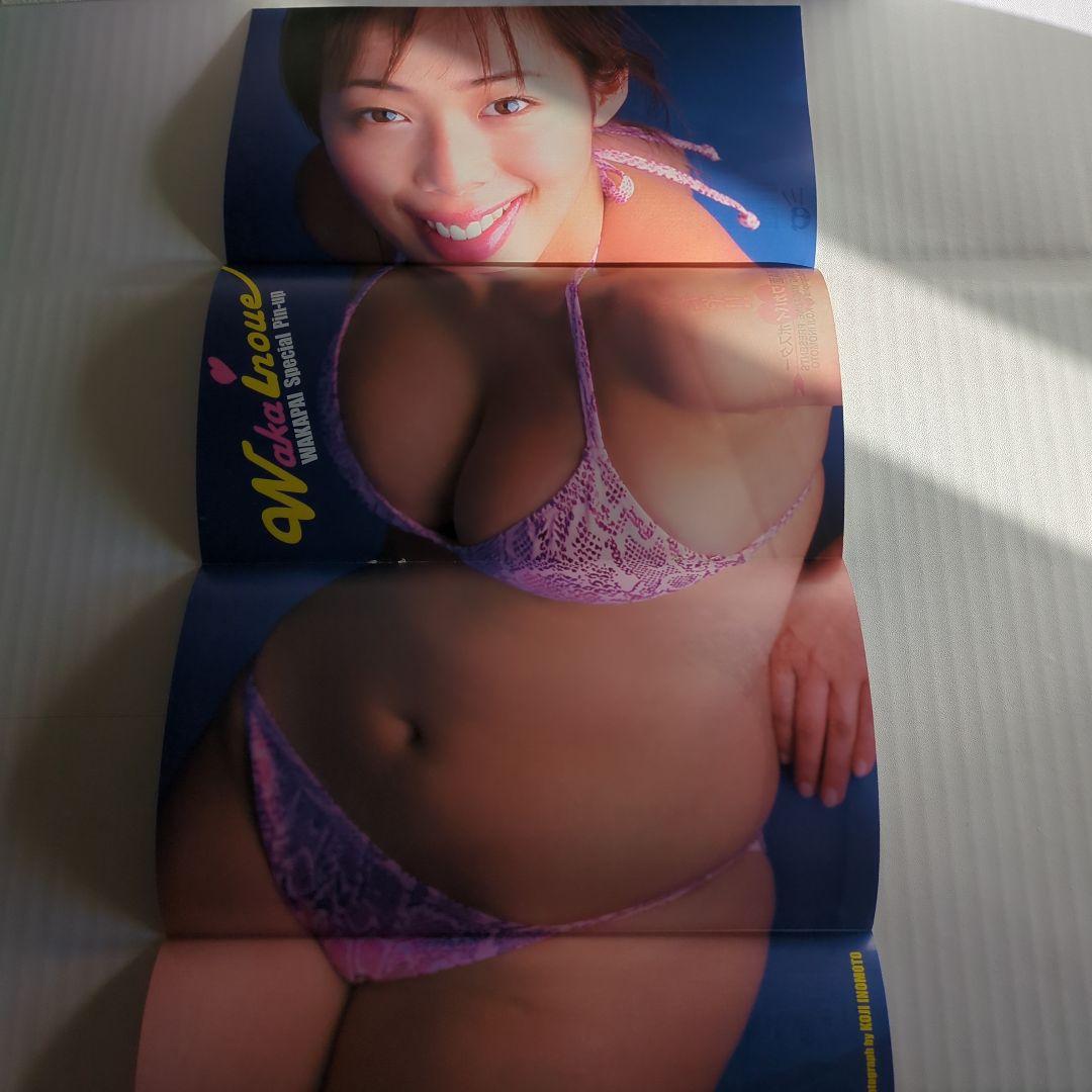 週間 ヤングサンデー　井上和香　他ピンナップ、切り抜きなど　おまけ　【中古】