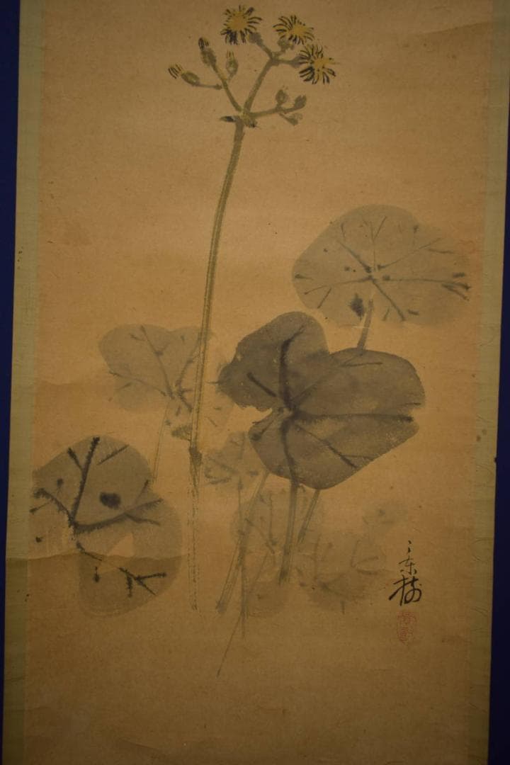 真作/今井景樹/蕗/小禽図/フキ/布袋屋掛軸HI-903 - メルカリ