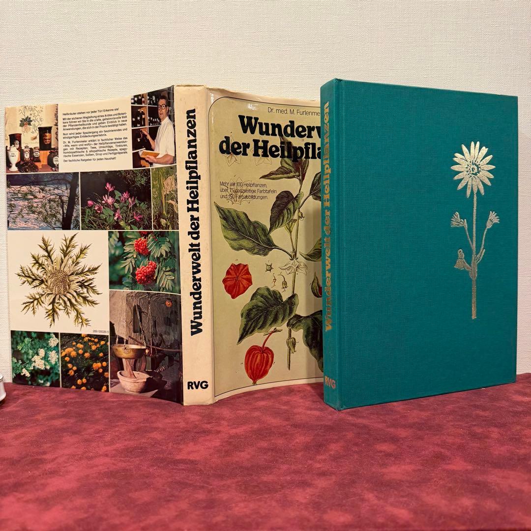 223⑩1980年ドイツ語植物図鑑 洋書古書 ジャンクジャーナル ボタン