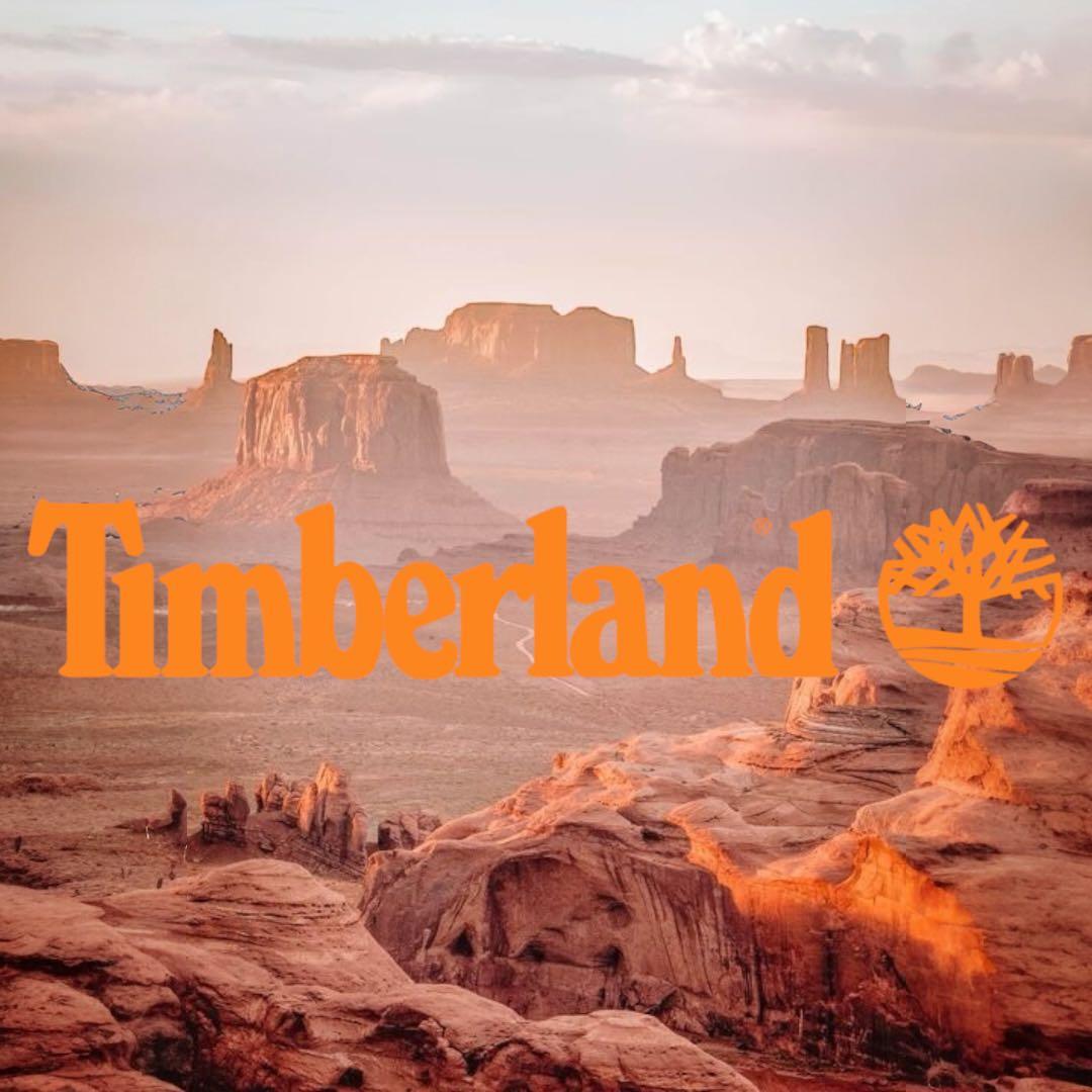 【値下げ中】Timberland ティンバーランド イエローブーツ 26.5cm