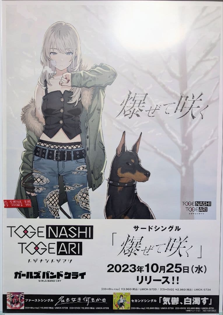 トゲナシトゲアリ 爆ぜて咲く B2販促ポスター ガールズバンドクライ