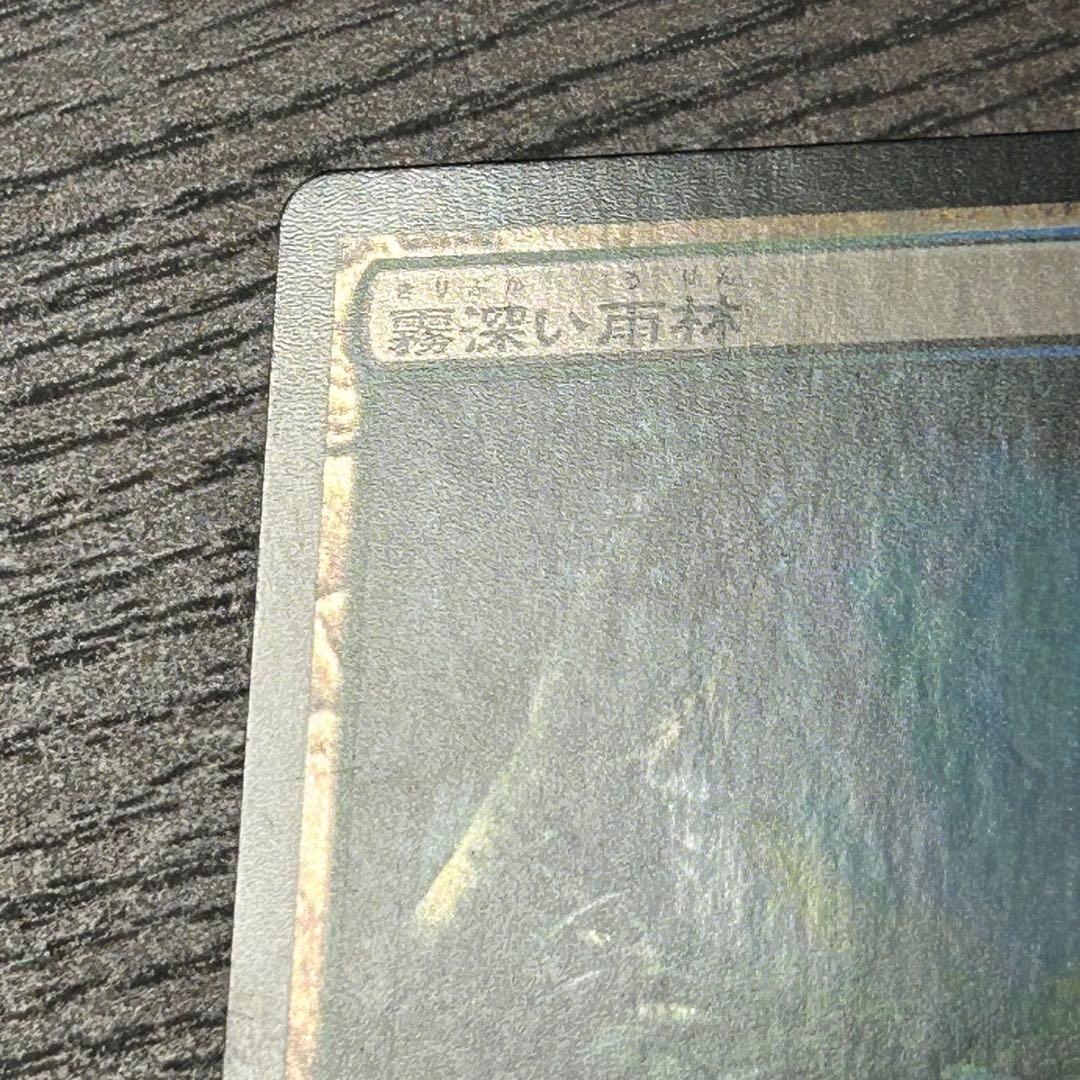 【初版日本語Foil】《霧深い雨林/Misty Rainforest》[ZEN]