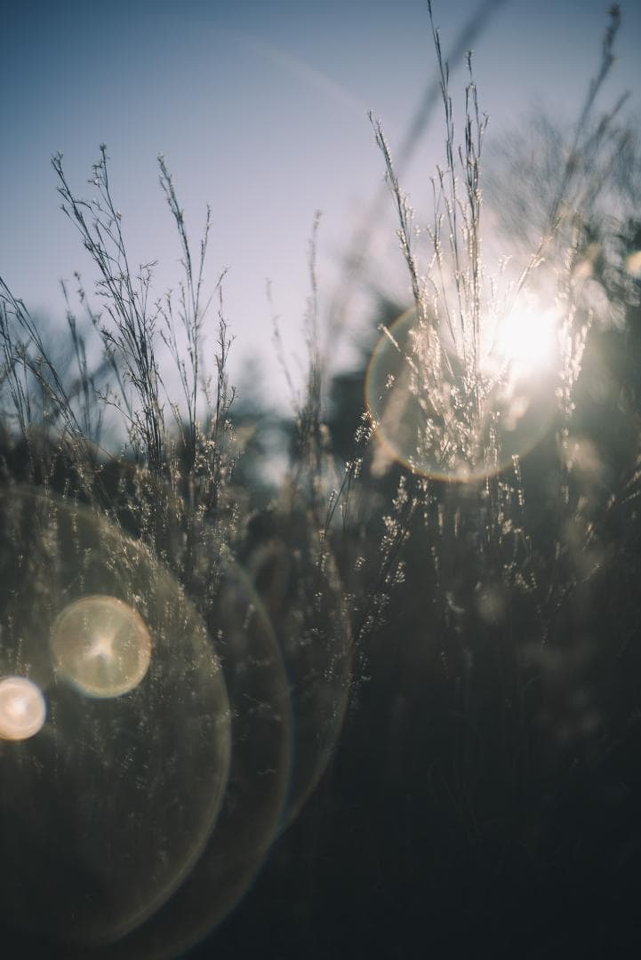 attraction様Leica Summar 50mm F2 オールドレンズ - メルカリ