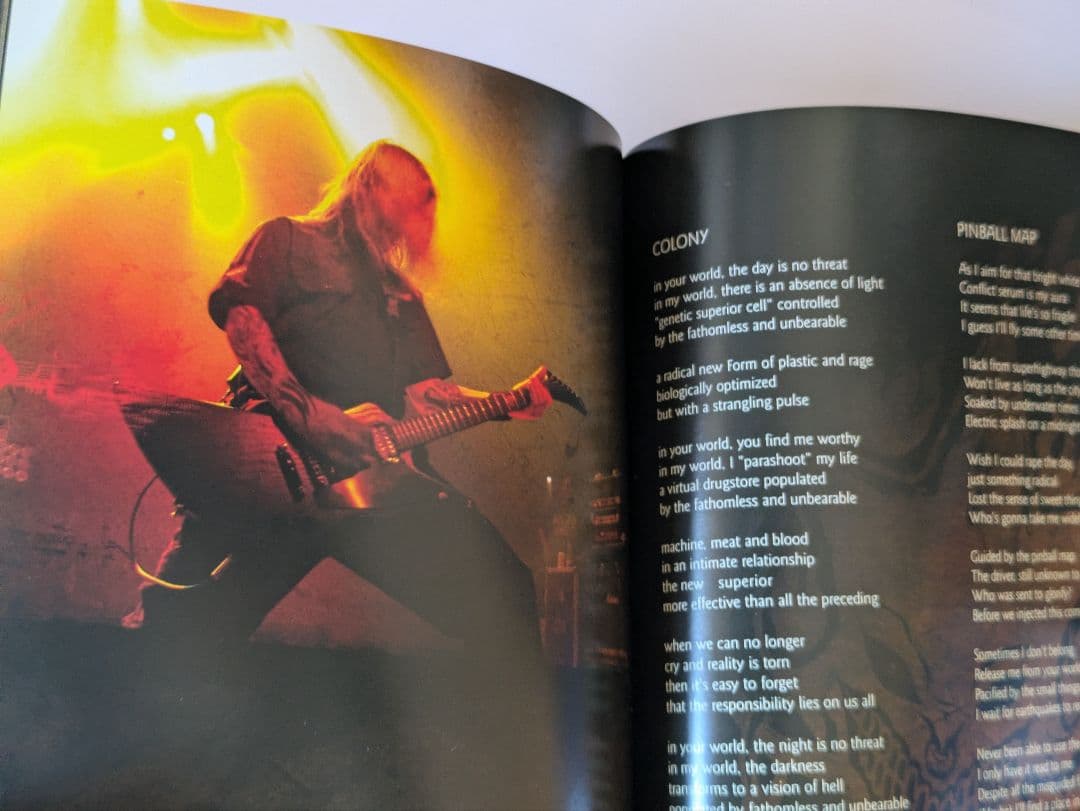 IN FLAMES USED & ABUSED [2DVD+2CD] 国内盤