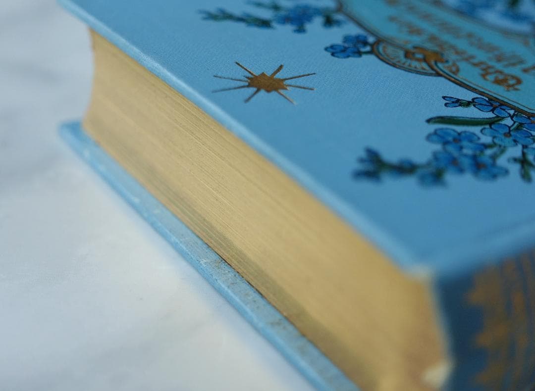 ドイツ 古書 アンティーク 勿忘草のメモリアルブック 青 洋書 希少 レア