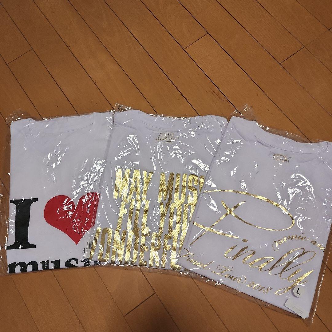 安室奈美恵　Tシャツ　3セット 安室奈美恵 dlsm プリントTシャツ XXL ブラック NAMIE AMURO ビッグT