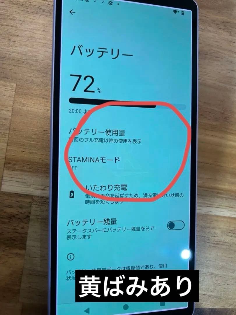 K1373 楽天SIMフリー Xperia 10 V XQ-DC44