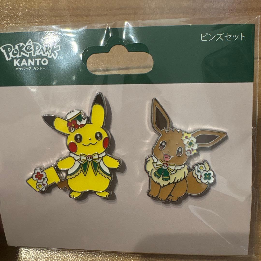 ポケパークカントー ピンバッジ オープン記念ピンズ&ピカブイピンズ