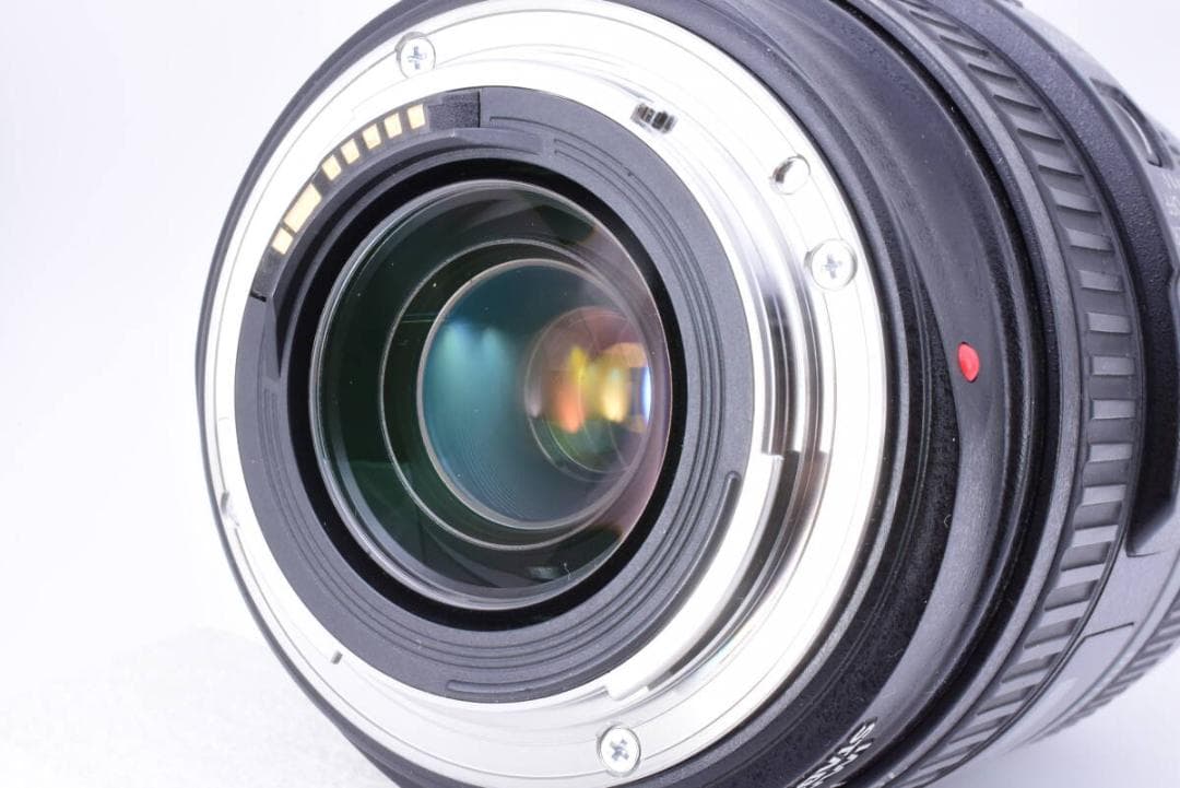 手振補正❄キヤノン EF 70-300mm F4.5-5.6 DO IS USM