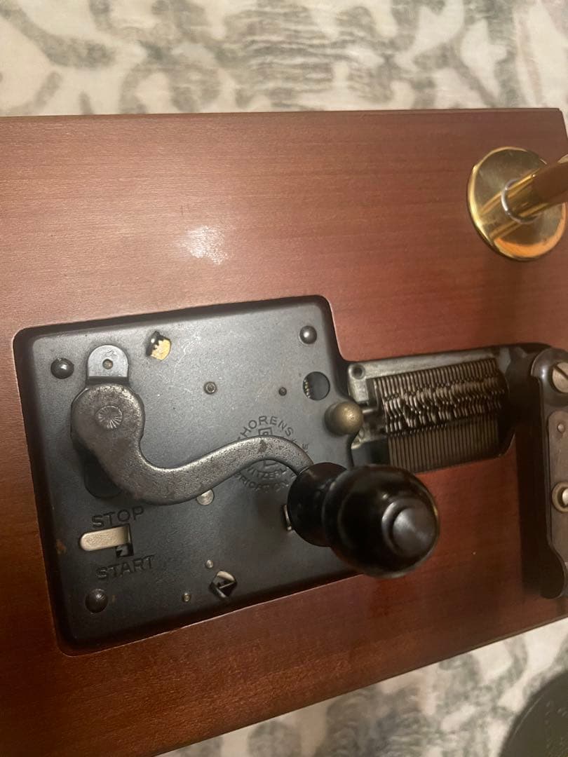 トーレンス ディスクオルゴール 蓄音機型の通販｜www.theelectrokart.com