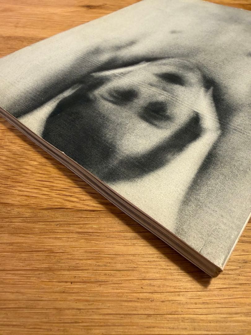 THE BAD SON Harmony Korine ハーモニー・コリン - メルカリ