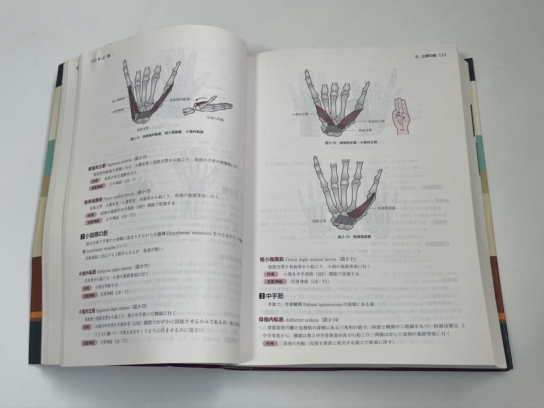 解剖学講義 改訂3版 南山堂 - メルカリ