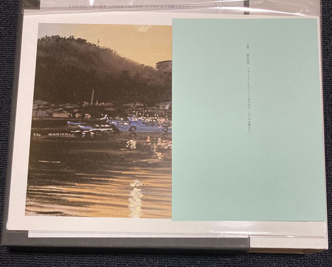 坂口恭平 カタログ レゾネ pastel パステル画 HASHIGUCHI SEKIGUCHI