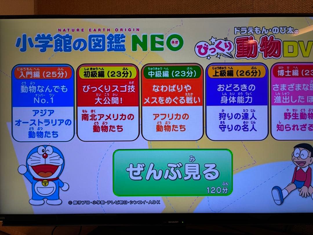 えん様専用 ドラえもん 小学館の図鑑NEO DVD 3枚セット - メルカリ