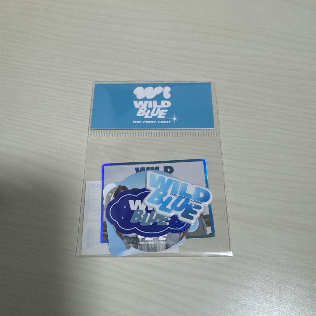 WILD BLUE ステッカーセット - メルカリ