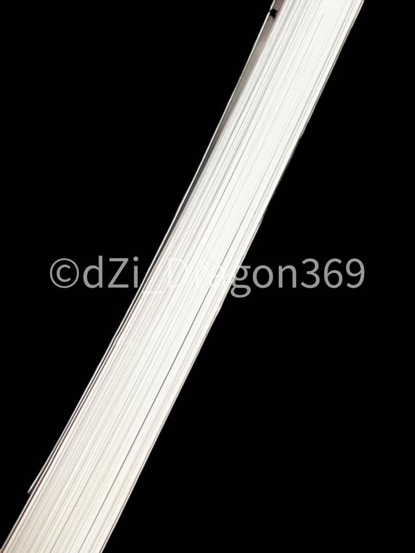 一点限り／ 入手困難 】中国刊行 天珠（dZi）の本