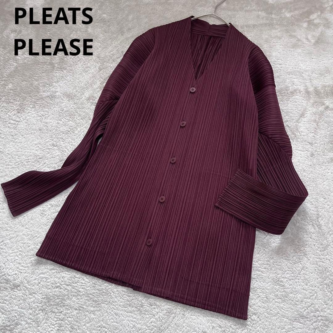 美品 プリーツプリーズ イッセイミヤケ ノーカラー ジャケット