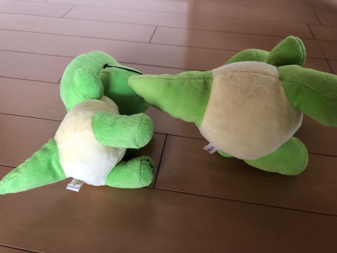 恐竜博物館 ぬいぐるみ ジュラチック かみつき ラプト 福井 NEWS 増田