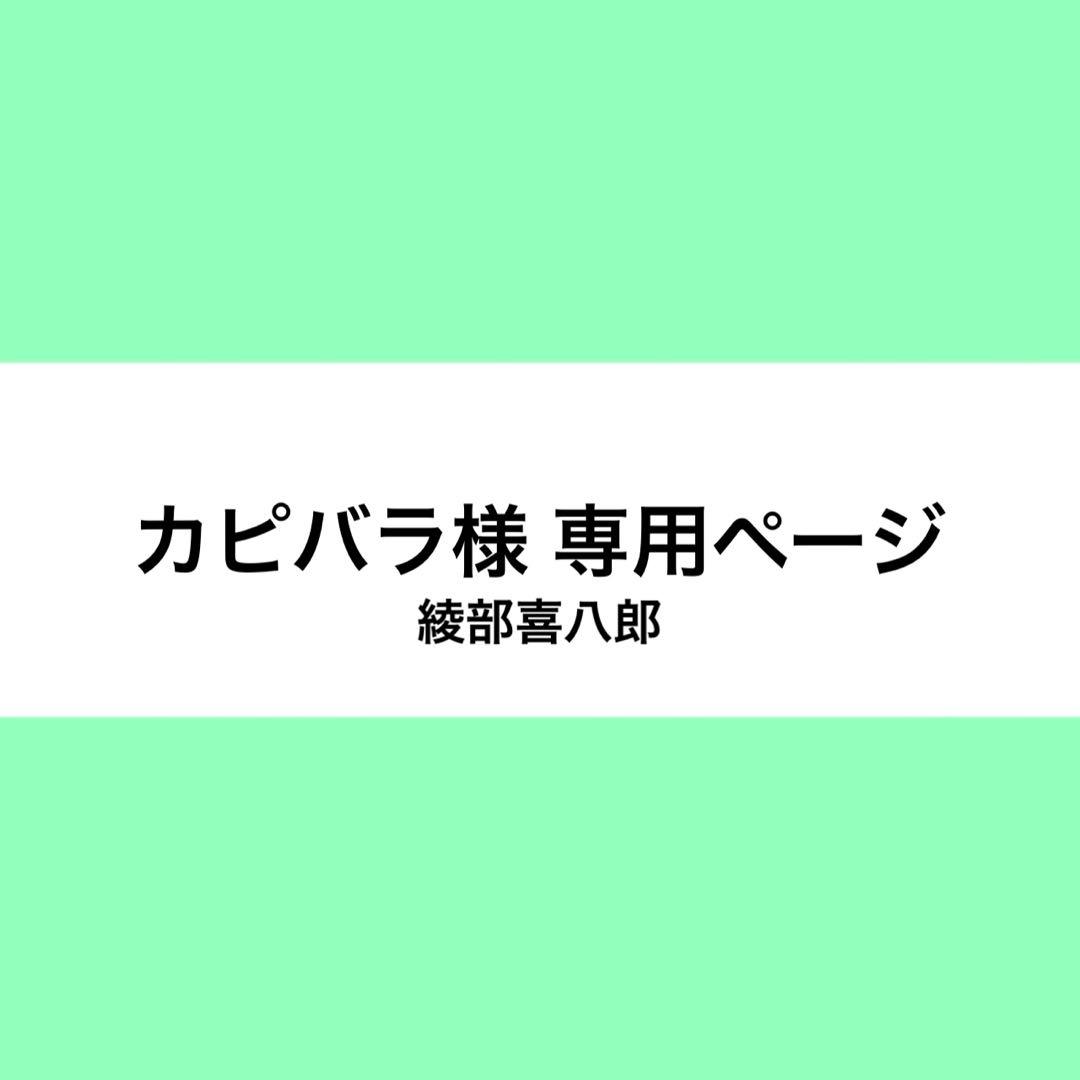 カピバラ様 ウィッグオーダー お見積もりページ - メルカリ