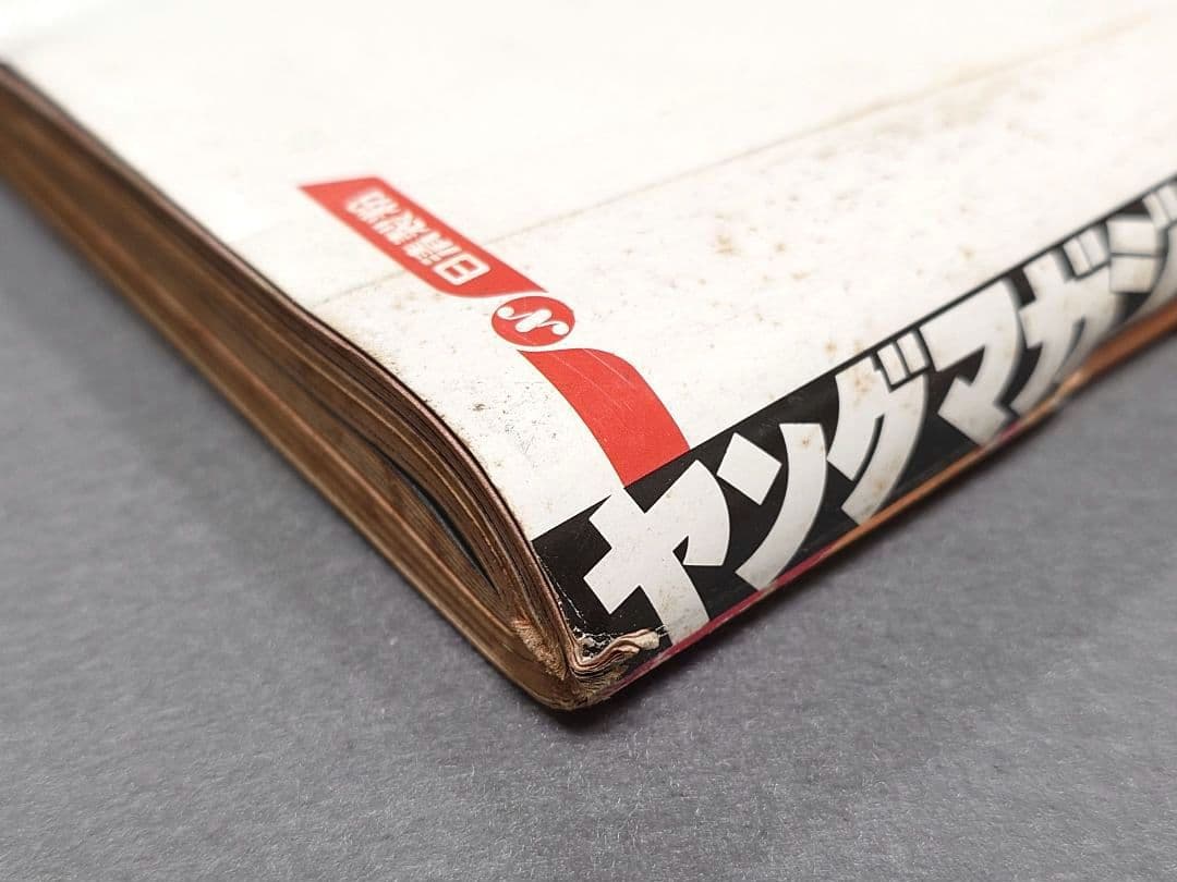 週刊ヤングマガジン1994年6月27日27号『1・2の三四郎2』表紙/小林