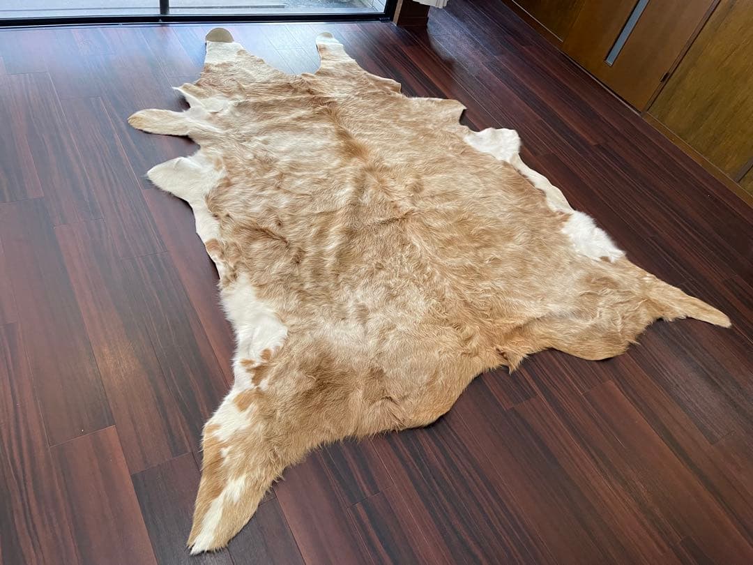 売り切り価格！　牛毛付き革 カウラグ カウハイド