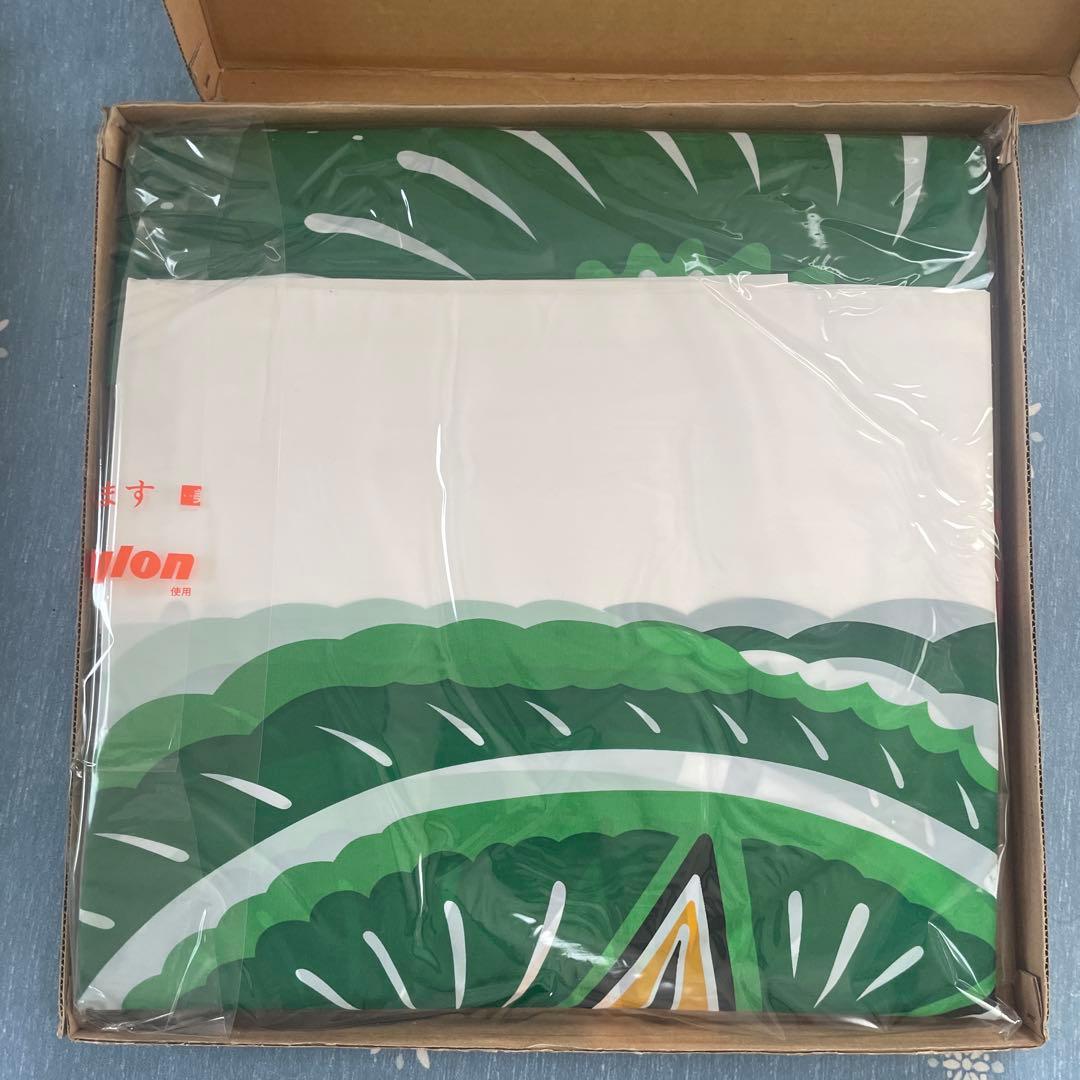 ナイロン製 鯉のぼり 6M 緑 ナイロン素材 ナイロン・レザー