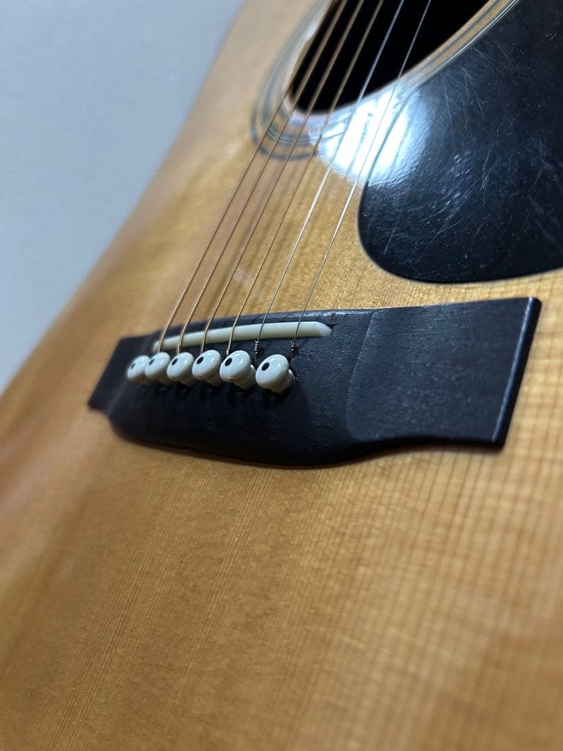 Cat's Eyes CE-500 大文字ロゴ アコースティックギター