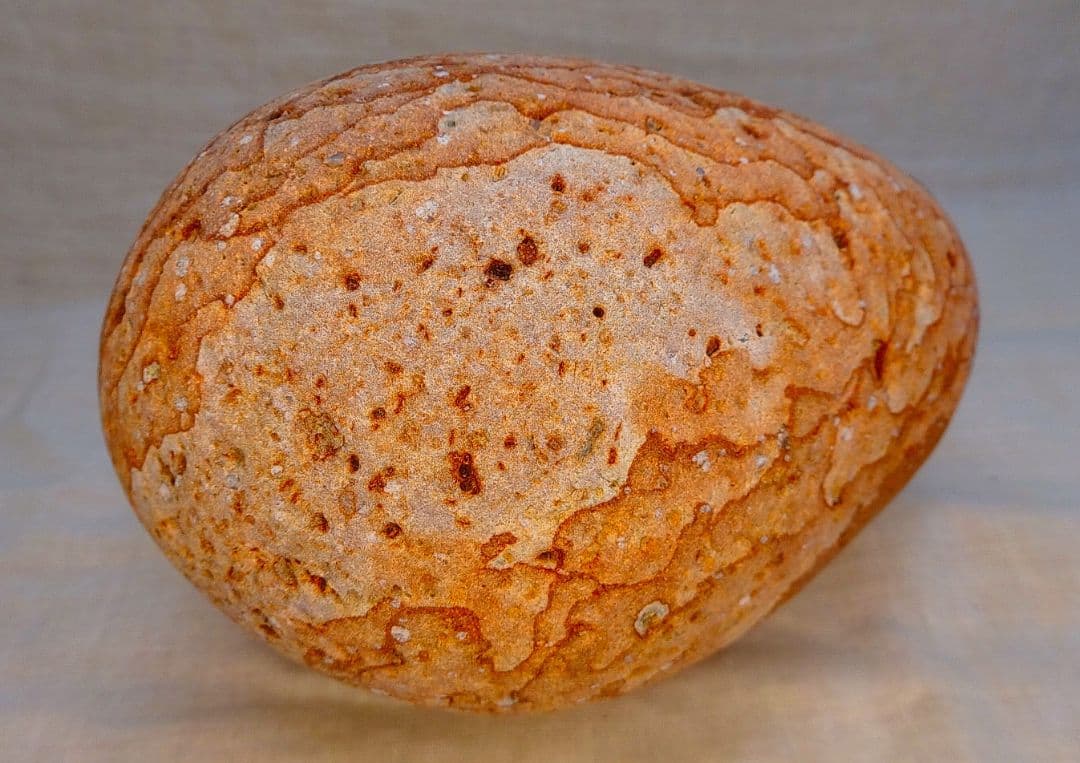 超レア!!姫川薬石赤虎(15)