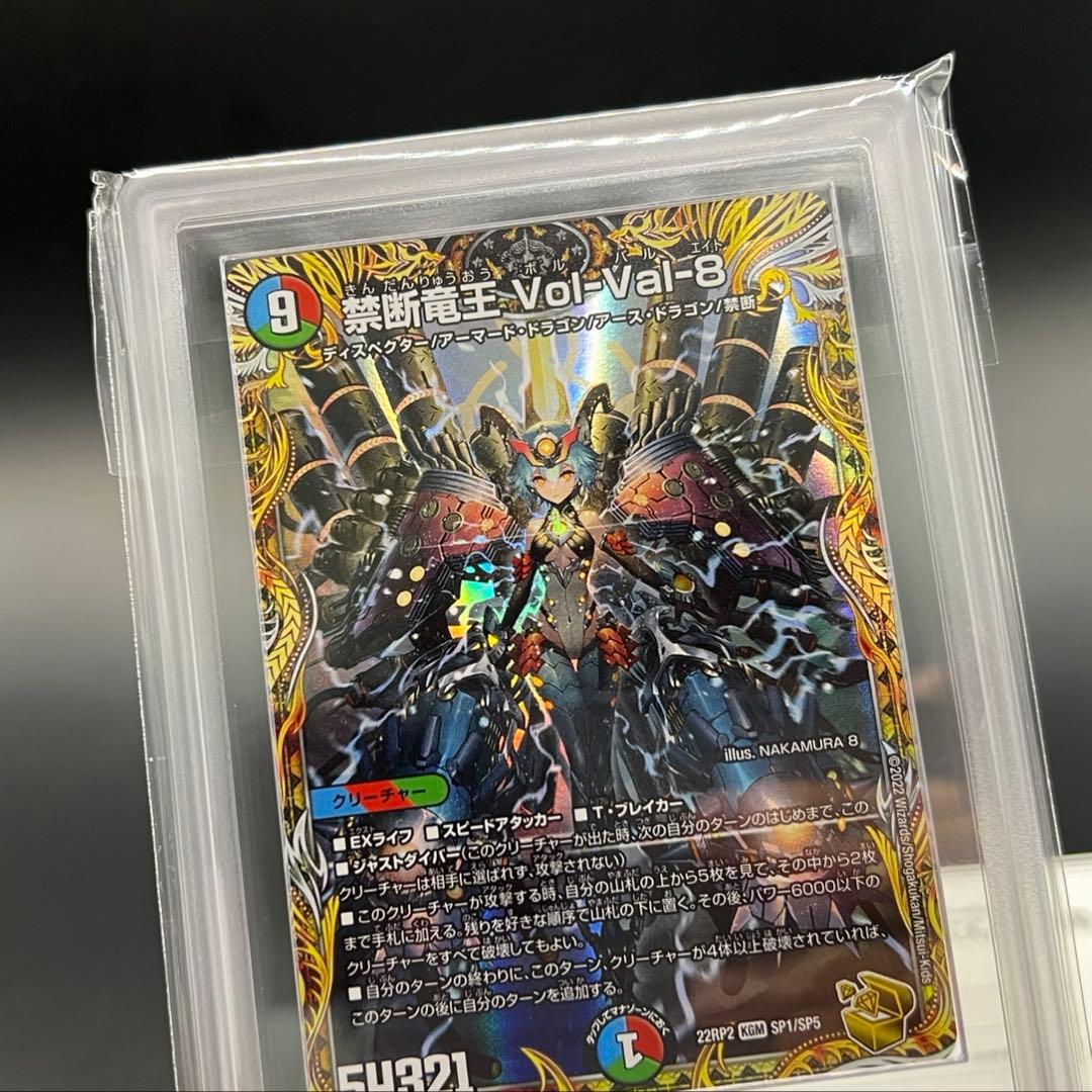 エラーカード】禁断竜王 vol-val-8 ARS鑑定品 volval8 - メルカリ