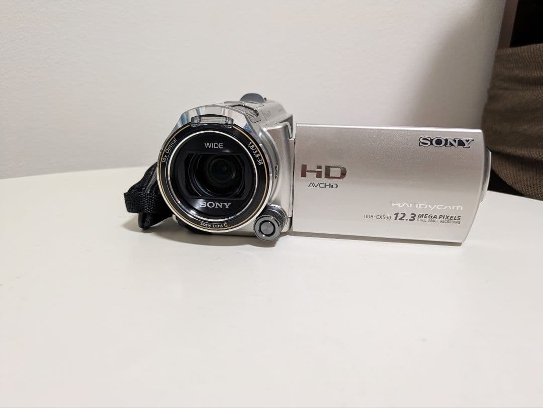 ソニー ビデオカメラ HDR-CX560V ハンディカム シャンパンシルバー
