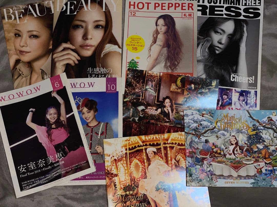 安室奈美恵 パンフレット9冊セット - メルカリ