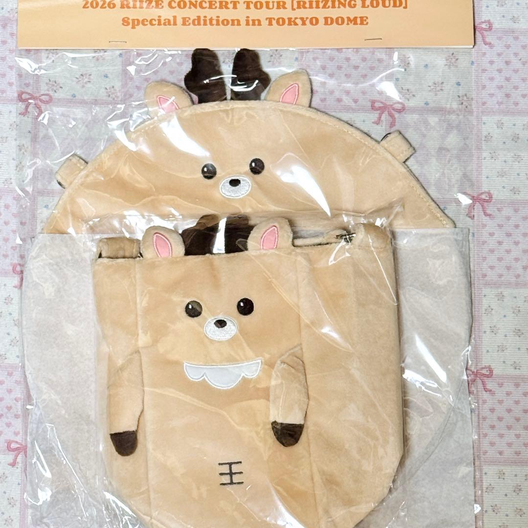 RIIZE 東京ドーム ペンライトバッグ うちわケース ソンチャン - メルカリ