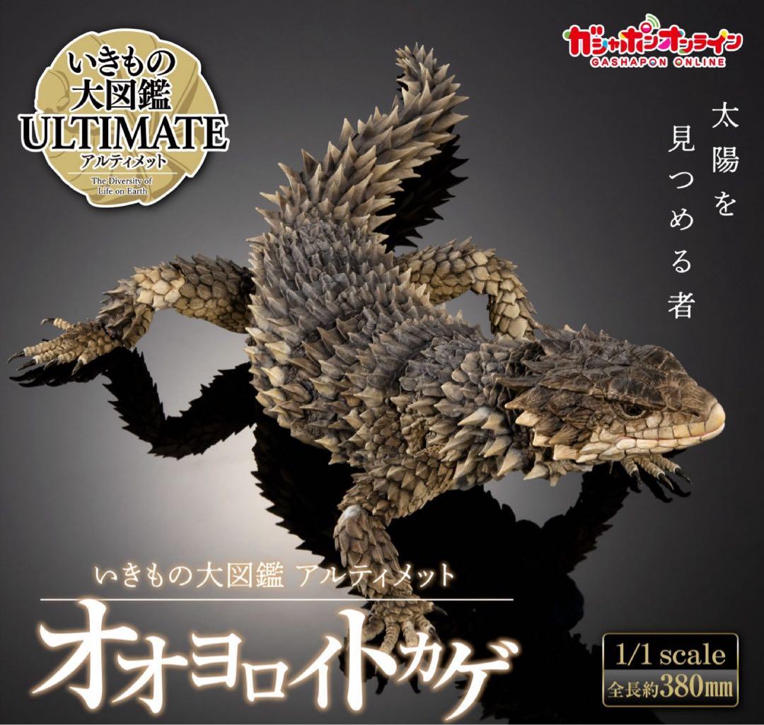 いきもの大図鑑アルティメット オオヨロイトカゲ 新品未開封 ⓵ いきもの大図鑑アルティメット オオヨロイトカゲ | ナムコパークス