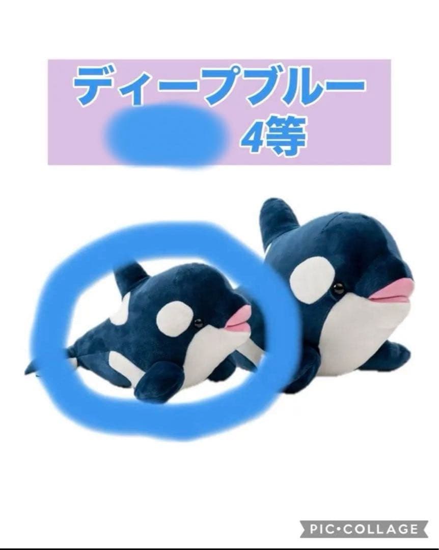 神戸須磨シーワールド オルカくじ限定カラー ディープブルー4等 シャチ