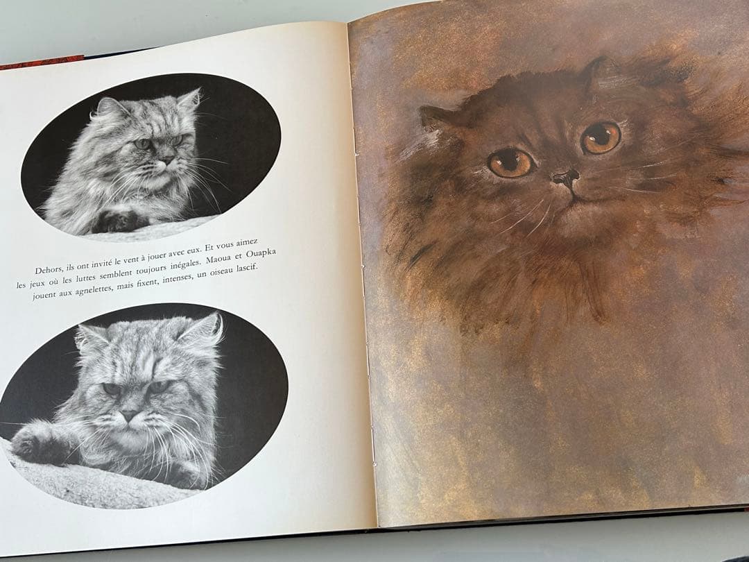 大型猫本Leonor Fini MIROIR DES CHATSレオノールフィニ - メルカリ