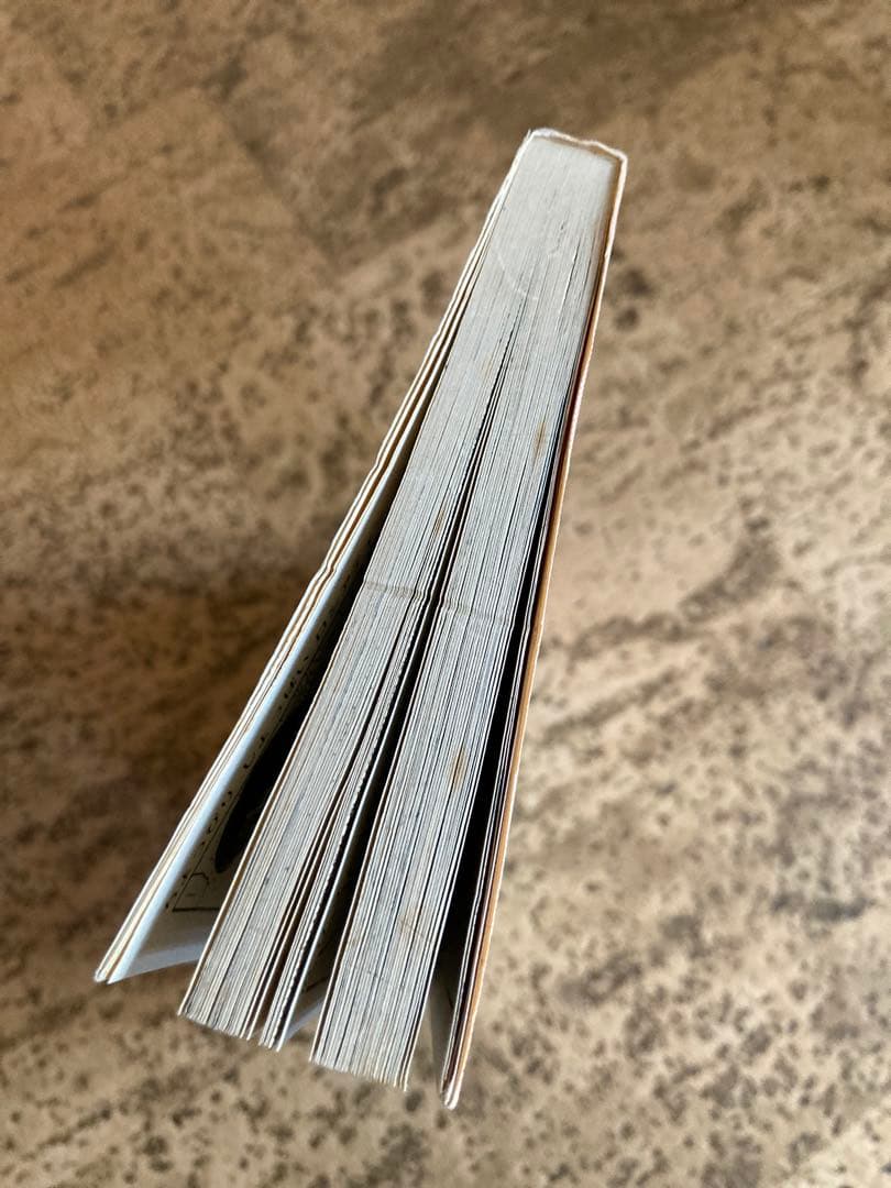 【激レア】不思議の国からキラキラ　滝川 佳子