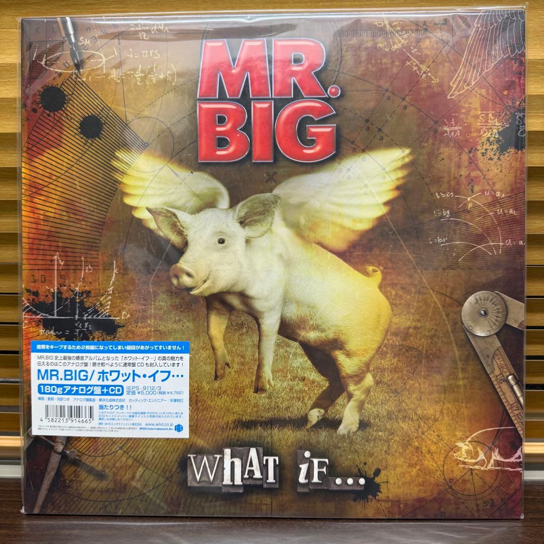 MR.BIG :What If...(2枚組アナログレコード) Amazon.co.jp: WHAT IF: ミュージック