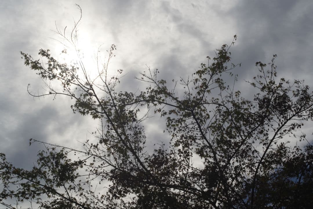 ☆作例あり☆ ライカ エルマー L 5㎝ F=1:2.8 Nr.1617678