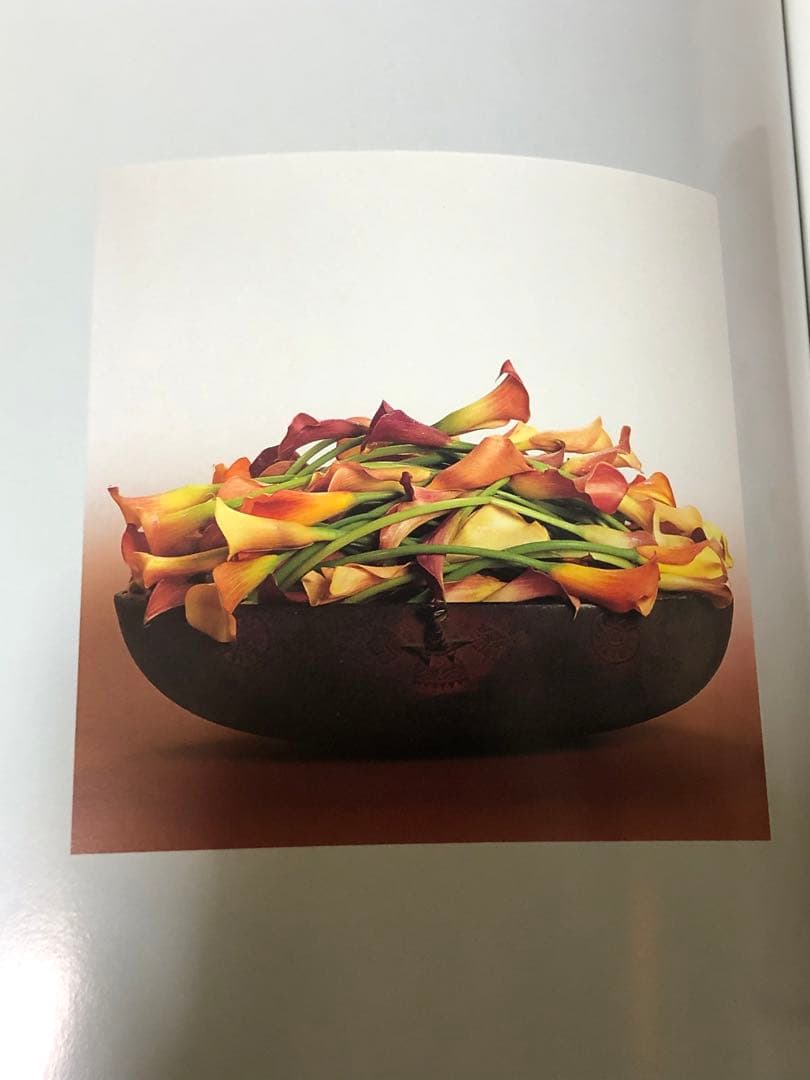 DANIEL OST ダニエル・オスト フラワーアート豪華写真集 美しい写真