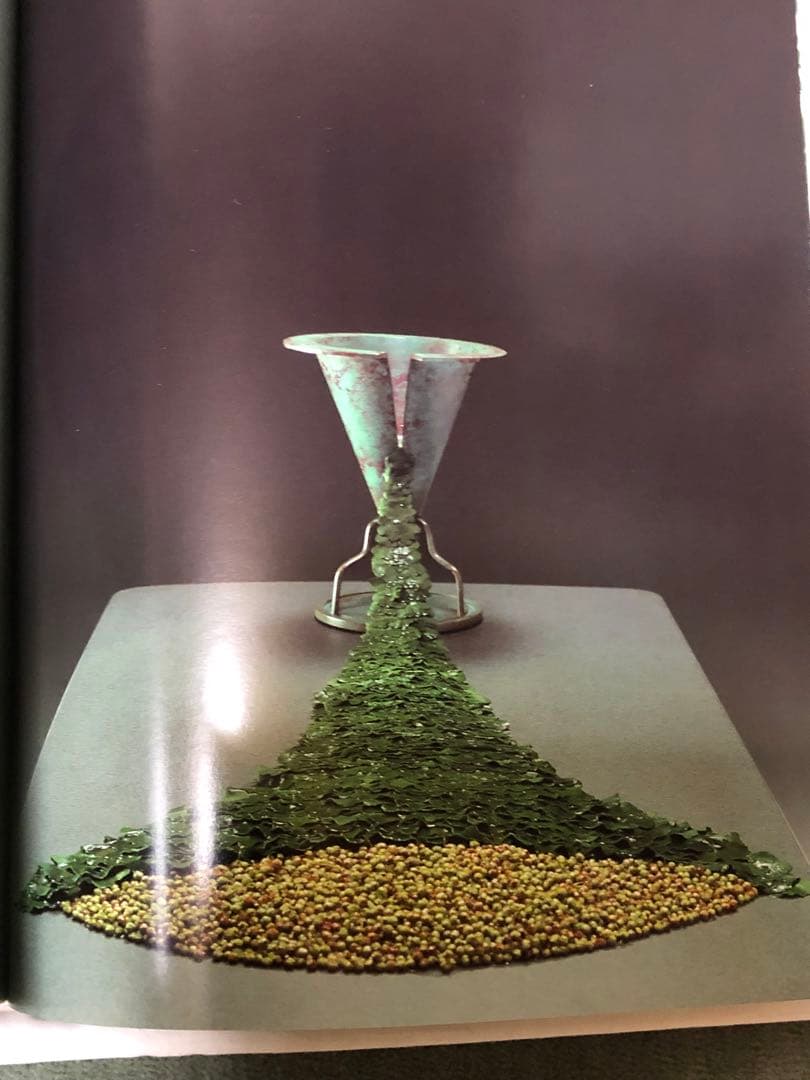 DANIEL OST ダニエル・オスト フラワーアート豪華写真集 美しい写真