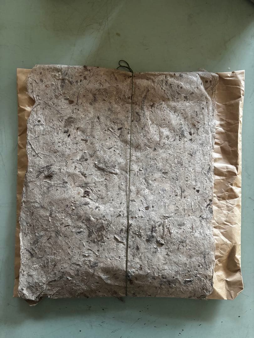 瘡原亘 腥身保育器 embdagonn108