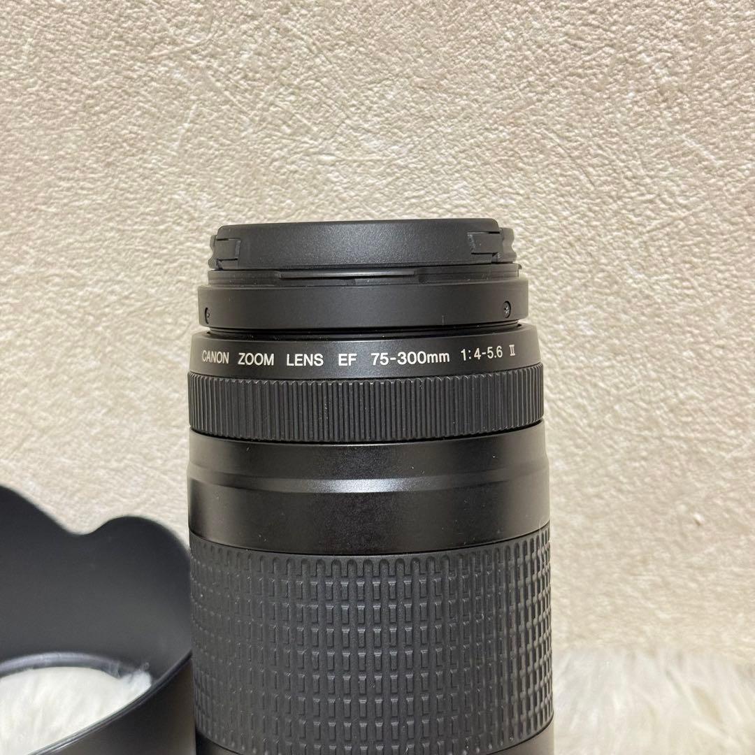 ⭐️完動品⭐️キャノン Canon EF 75-300mm F/4-5.6 II