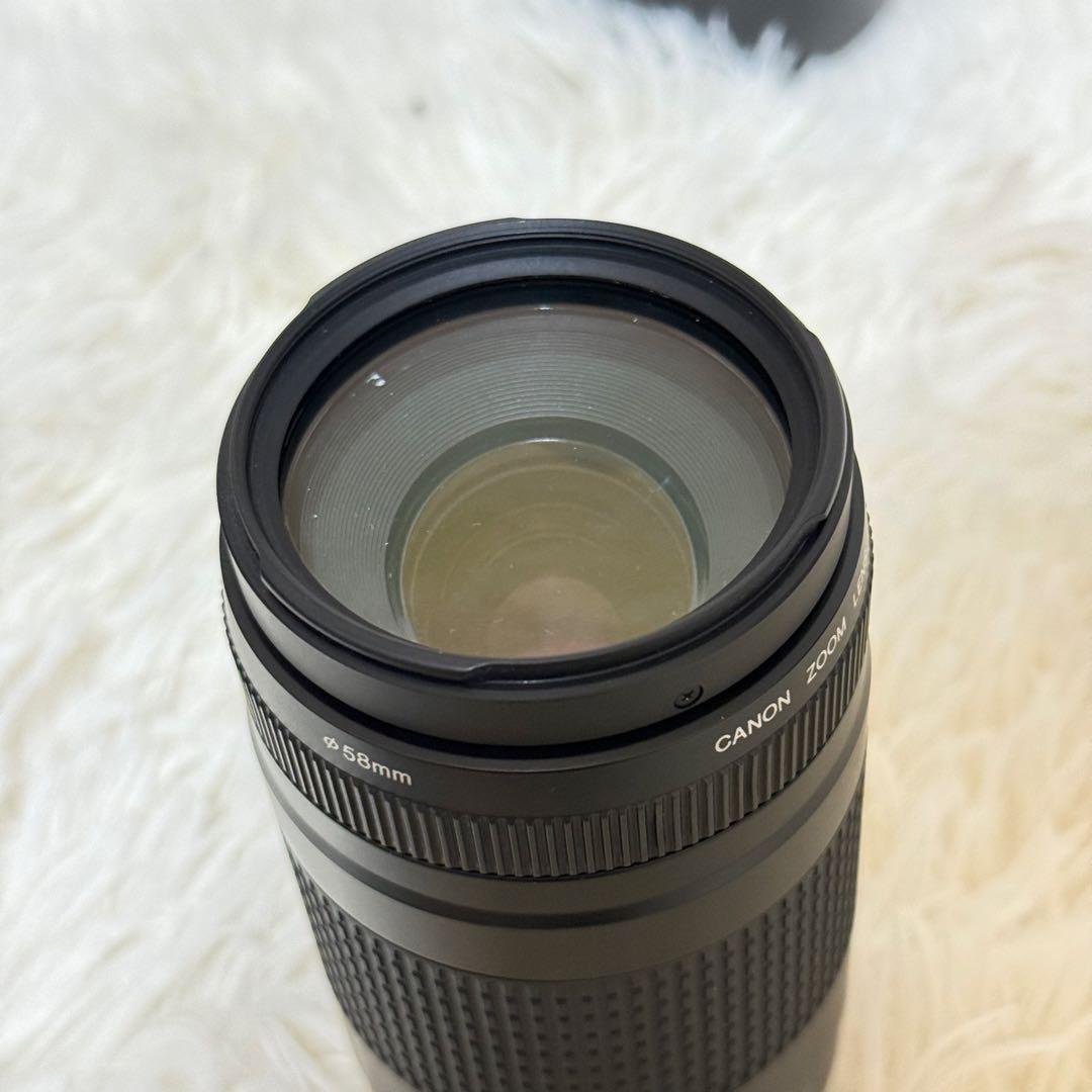 ⭐️完動品⭐️キャノン Canon EF 75-300mm F/4-5.6 II