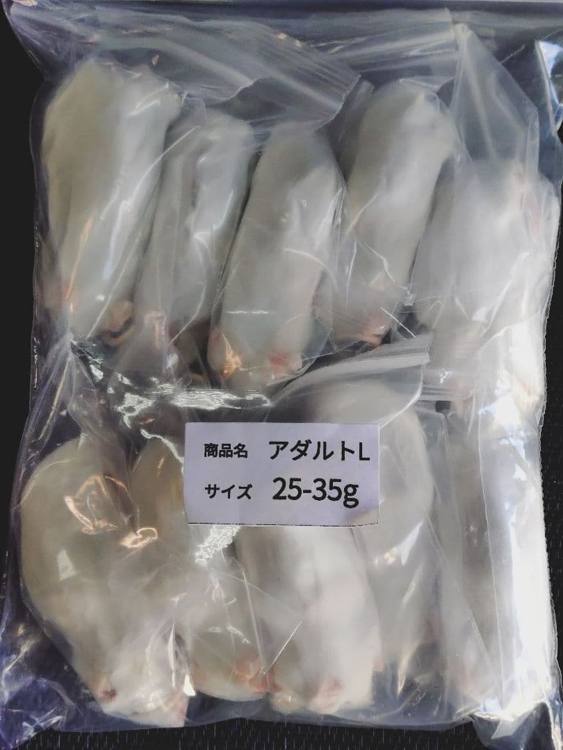 ウララ　送料無料 冷凍マウスファジー200匹 アダルトＬ100匹
