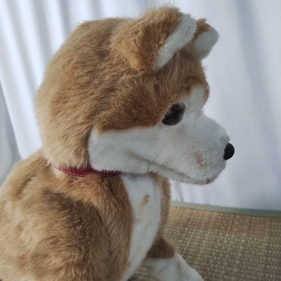 z【一部難あり】 電動 ペットロボット ココチモ 愛犬しばちゃん 等身大