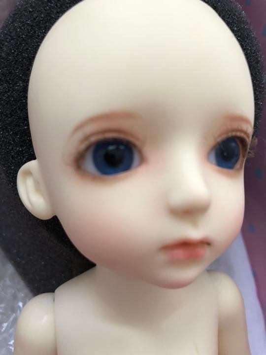 カスタムハウス Petite・AI ウリエル - メルカリ