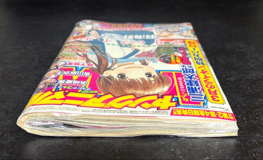 ●ヤングアニマル 2008年 No.23 ●3月のライオン 特別カバー 付録付き