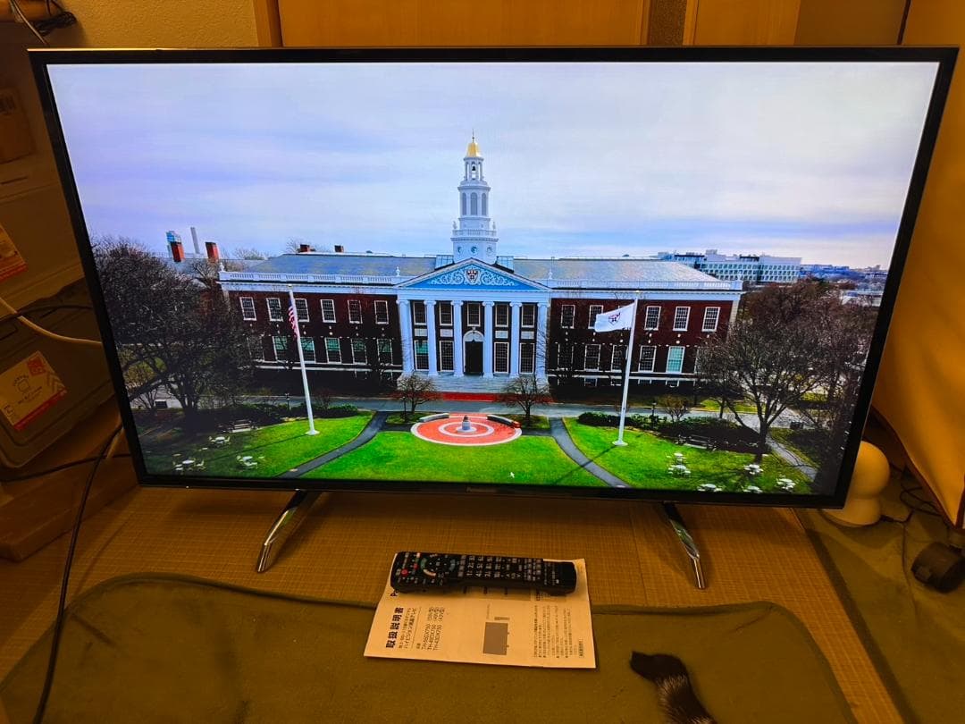 引取専用 極美品！パナソニック 43型 スマートテレビ TH-43DX750